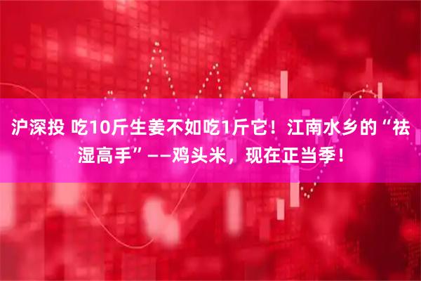 沪深投 吃10斤生姜不如吃1斤它！江南水乡的“祛湿高手”——鸡头米，现在正当季！