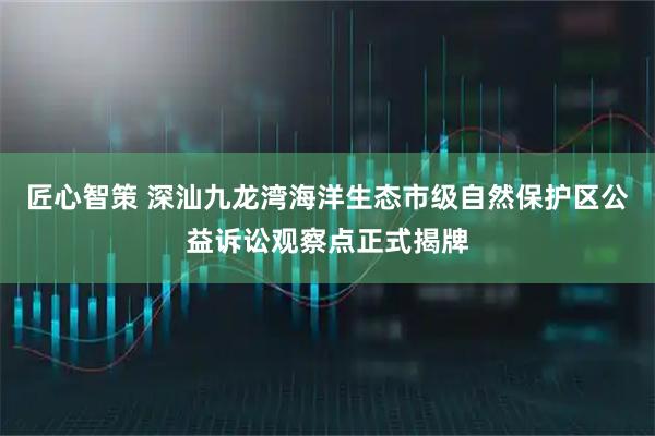 匠心智策 深汕九龙湾海洋生态市级自然保护区公益诉讼观察点正式揭牌