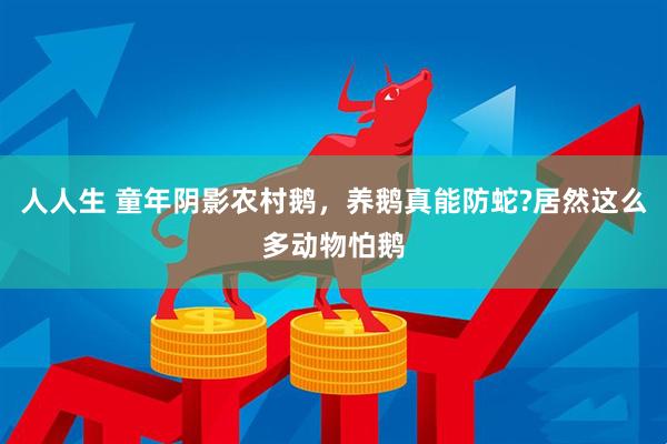 人人生 童年阴影农村鹅，养鹅真能防蛇?居然这么多动物怕鹅