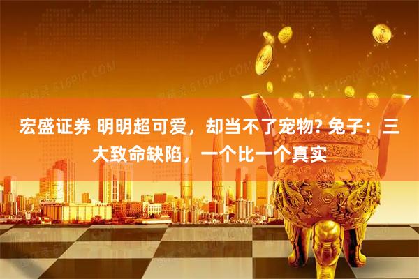 宏盛证券 明明超可爱，却当不了宠物? 兔子：三大致命缺陷，一个比一个真实