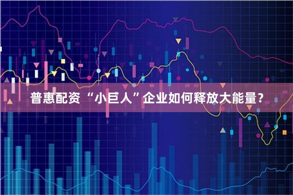 普惠配资 “小巨人”企业如何释放大能量？