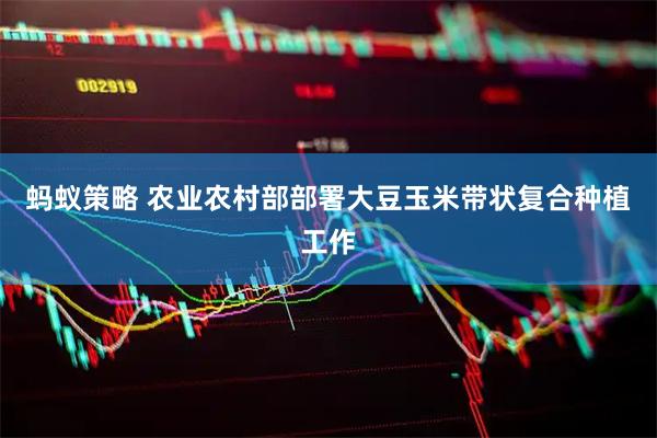 蚂蚁策略 农业农村部部署大豆玉米带状复合种植工作